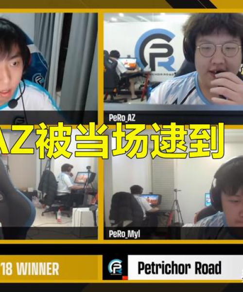 DNW战队全球排名，荣耀与实力的巅峰见证