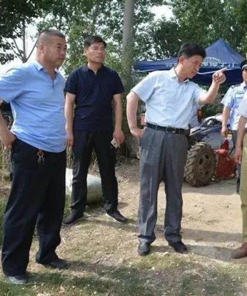 米粮仓今日行情揭秘，最新价格与市场动态全解析