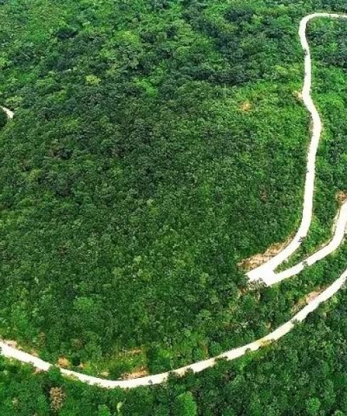 南京亲子游攻略，必游景点与游玩指南