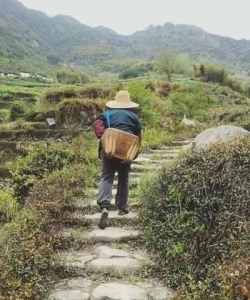 春日旅游攻略，捕捉美好时光，尽享春光无限！