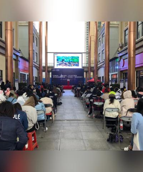 海南互联网开发公司排名揭秘，行业深度洞察报告