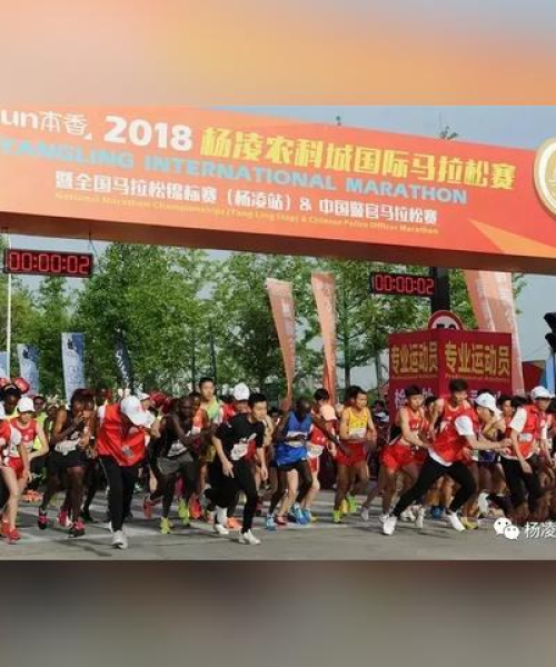 中国舆情公司排行榜揭晓，洞悉行业格局，掌握未来发展趋势
