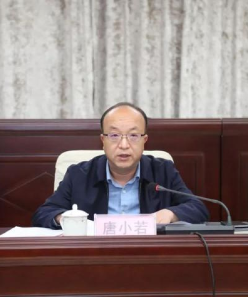 广西十大贫困地区深度解析，探寻贫困根源与振兴之路