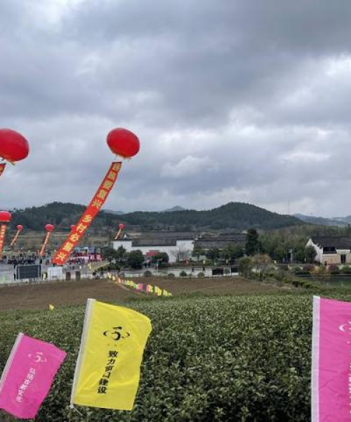 穿越千年，探寻古代安家智慧，一份独家旅游攻略