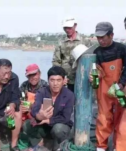 最新船员船上卫生标准规范深度解读