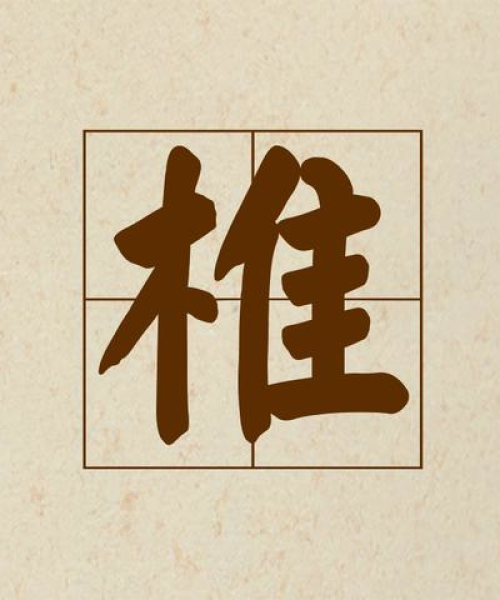 探索N的奇妙词汇世界，百度收录的N组词一网打尽