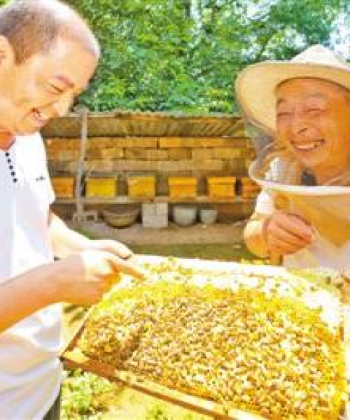 嵩县最新头条新闻，探寻地方发展的活力与脉搏