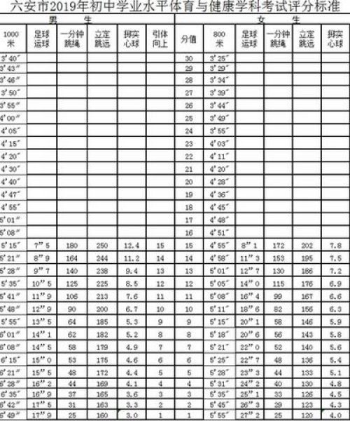 六安中考考题解析，今日头条新闻热点聚焦
