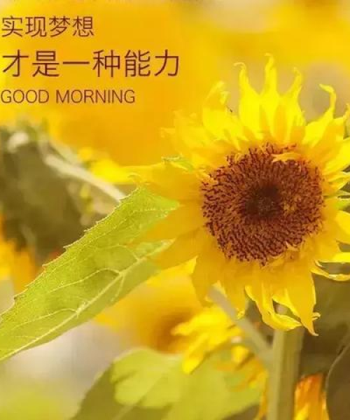 励志心情语录，简短短语，激发无限能量！