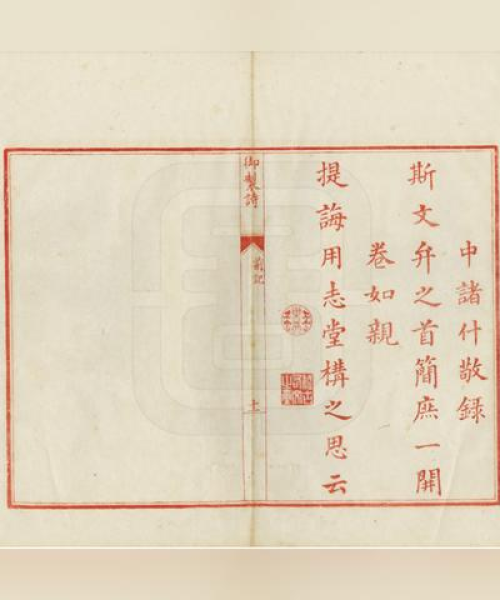 睢宁双沟新闻聚焦，繁荣背后的故事