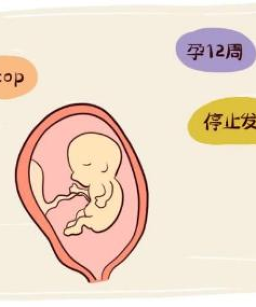 全球十大杀手排行榜揭秘，致命威胁令人震惊！