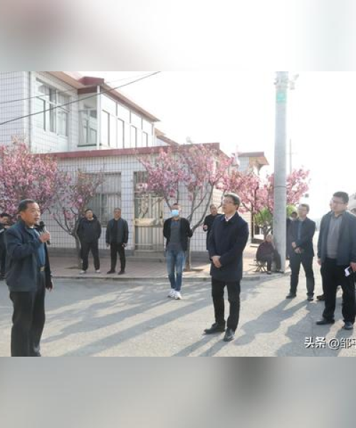 邹平市最新入伍规定解读，带编入伍政策2023更新指南
