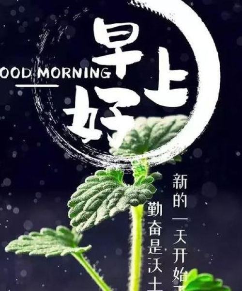 励志语录，砥砺前行，点燃人生激情！