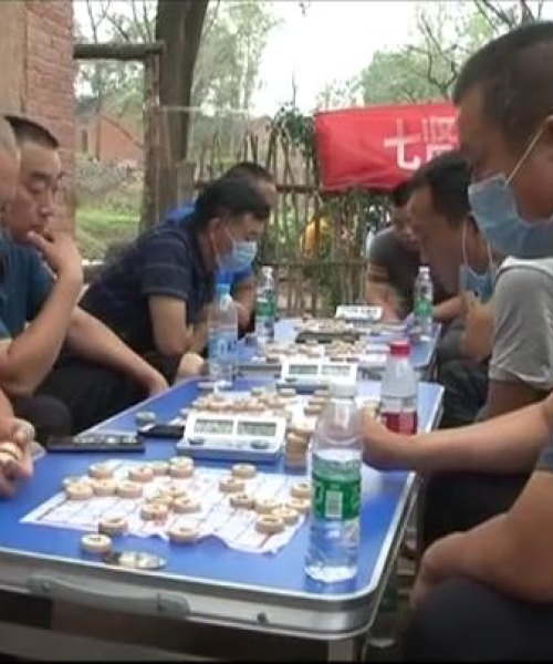 当下最火象棋直播大盘点，TOP10主播与平台全解析