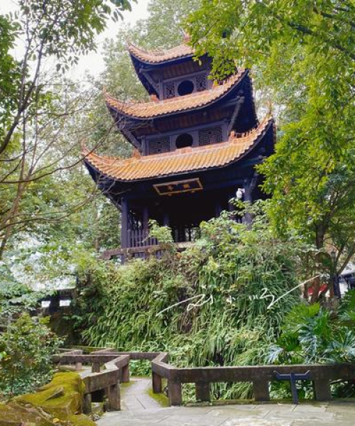 潼南跟拍攻略，捕捉城市魅力的最佳指南