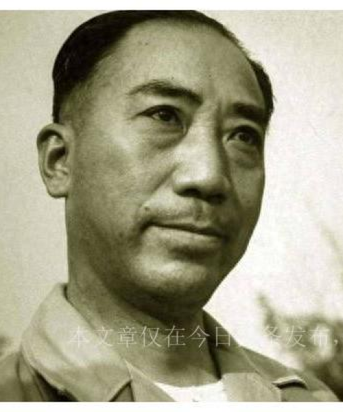 美国审讯咨询公司排名揭晓，行业领军者一览无余！