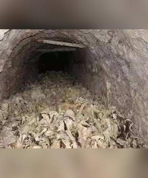 山西省煤矿公司排名榜揭晓，探寻行业领军巨头