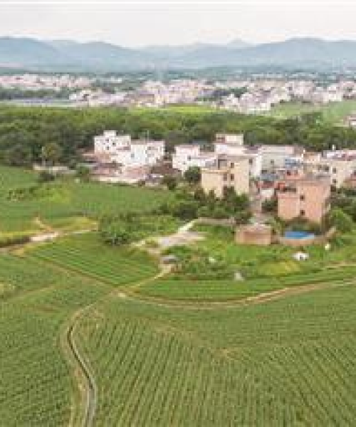 东莞至韶关旅游攻略大揭秘，探寻韶关最新魅力之旅