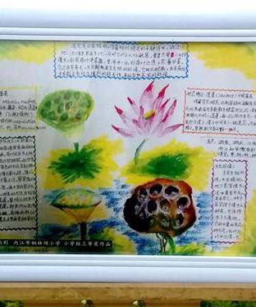 遂宁金牛区活力创新揭秘，地区发展引领新闻头条