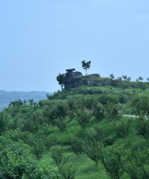 李端镇新闻聚焦，地方发展的活力与机遇揭秘