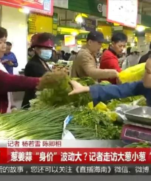 今日小葱价格走势揭秘，探索市场波动背后的原因