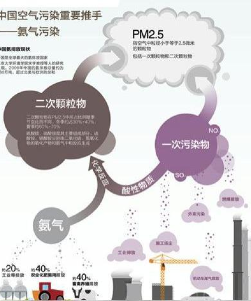 洛克装饰公司排名揭秘，行业地位与未来发展趋势深度剖析