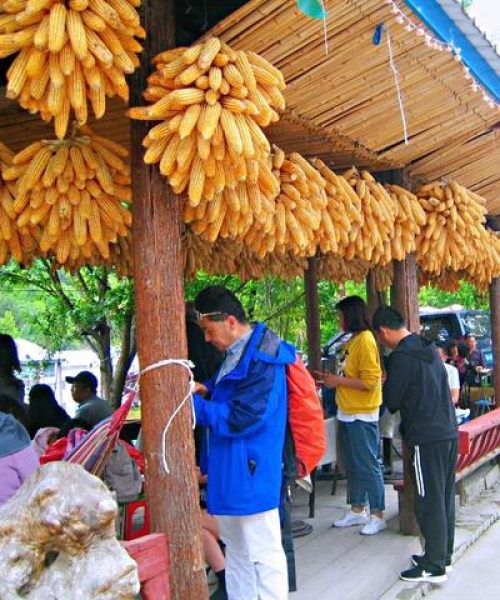 广元旅游攻略大揭秘，探索广元之美！
