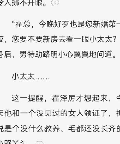 揭秘百度一下夫人别跑了，背后的故事与启示深度解析