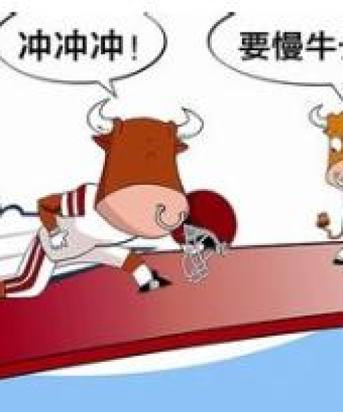 最新大牛价格行情今日揭秘，市场走势与专业解读分析