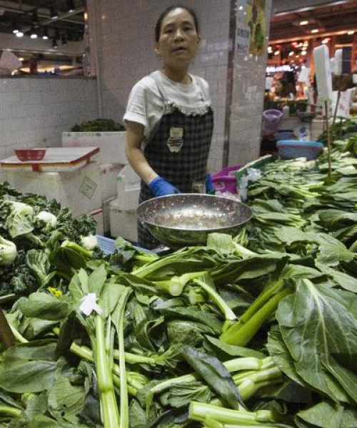 宁夏蔬菜行业领军者揭秘，公司排名及行业奥秘探索