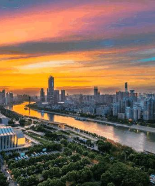 全球海轮市场最新动态，今日海轮价格查询消息全掌握