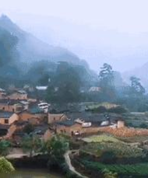 暮城区最新动态揭秘，城市新面貌新闻头条