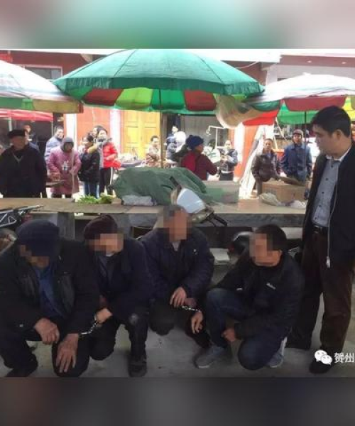 贺州去年赌博新闻揭秘，真相、危害与社会影响探究