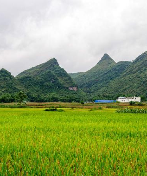 渠洋湖探秘，湖光旖旎的旅游攻略