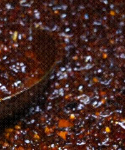 独家秘制，肉段美味做法，百度力荐！
