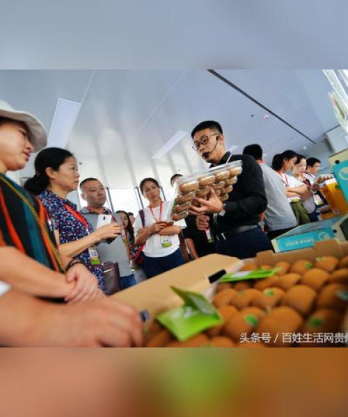 最新上市视频解说文案集结，引领视觉盛宴，抢先洞悉市场趋势