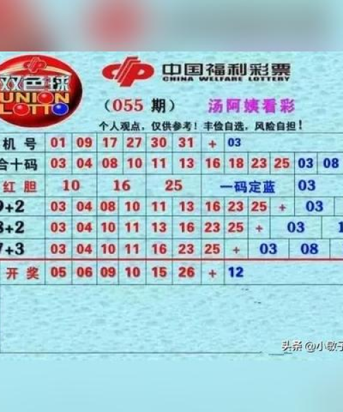 揭秘双色球彩票策略，百度收录热门推荐，探索彩票背后的秘密之道