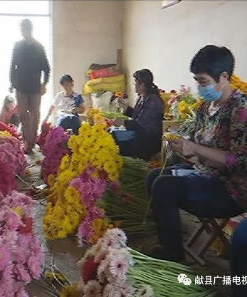 天天农场第8关攻略大全，轻松突破难关秘籍！