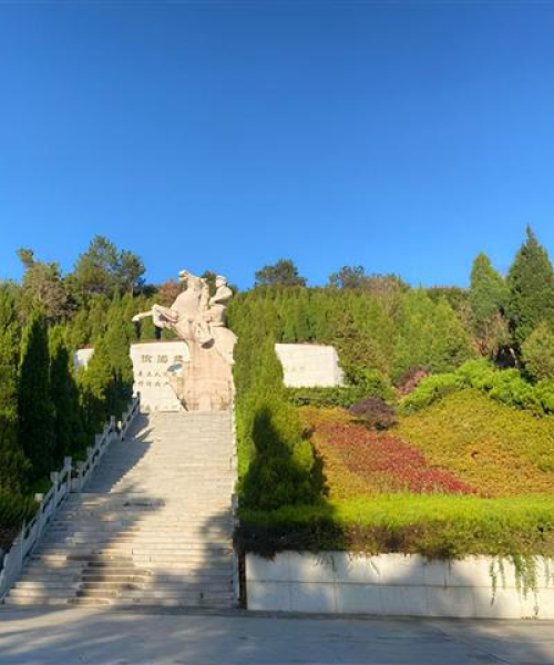 大悟旅游攻略揭秘，上海最新魅力探索之旅