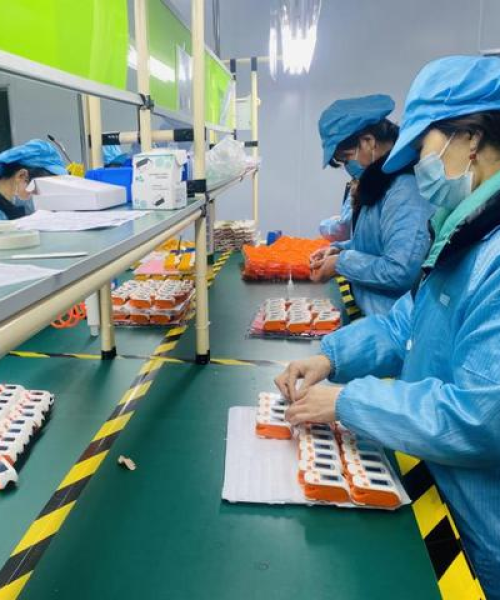 重庆脉搏，最新新闻头条汇聚