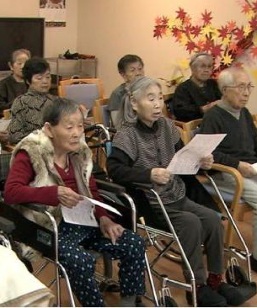 山东日韩文化探秘之旅，东方魅力一网打尽