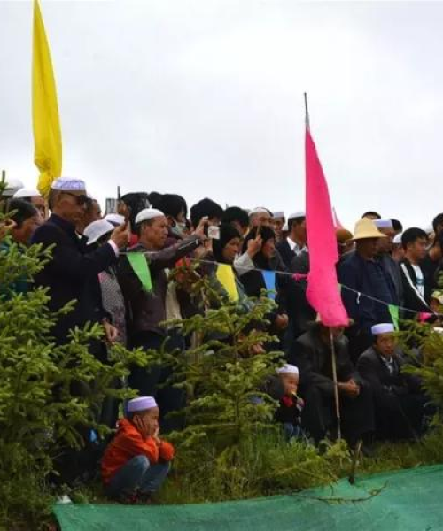 2025年5月15日