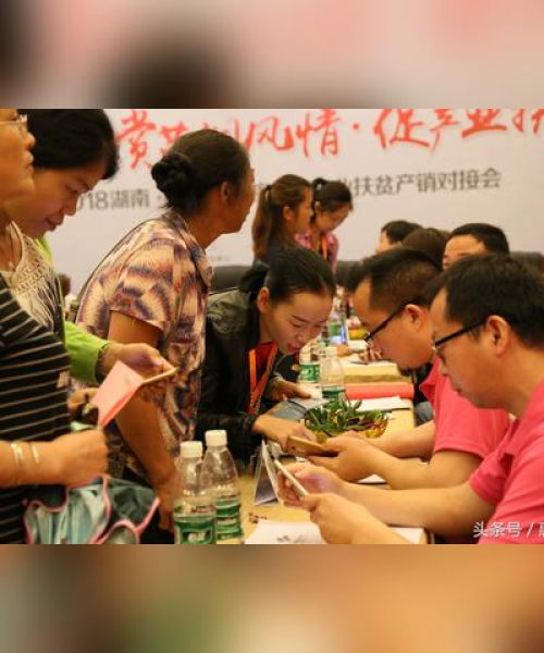 杨梅直播精彩回放，今日焦点全掌握