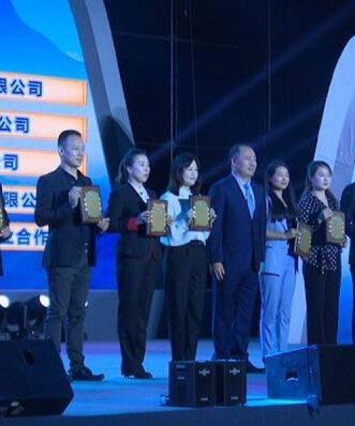 乳山法院司法拍卖房产最新消息深度解读