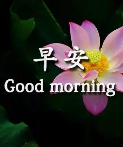 励志早安语录，唤醒你的灿烂人生每一天