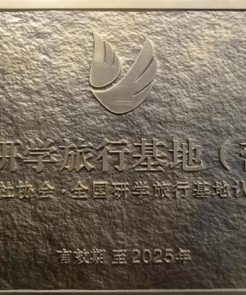崖柏新闻聚焦，揭秘崖柏奥秘与珍贵价值