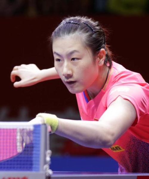 国乒女队最新动态，持续闪耀，前行不止的步伐