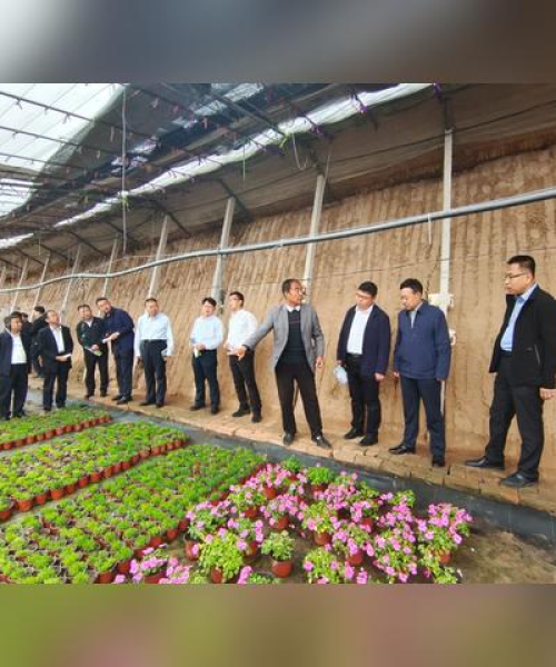 太谷店铺设计招聘启事，寻找创意人才，共创独特设计新篇章