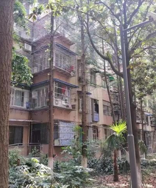 沙河二院贴吧最新消息解读