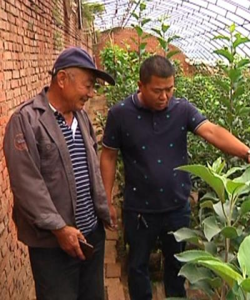 肇源和平新闻头条，引领地方发展的正能量，传递正能量讯息